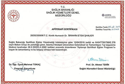 Apiterapi