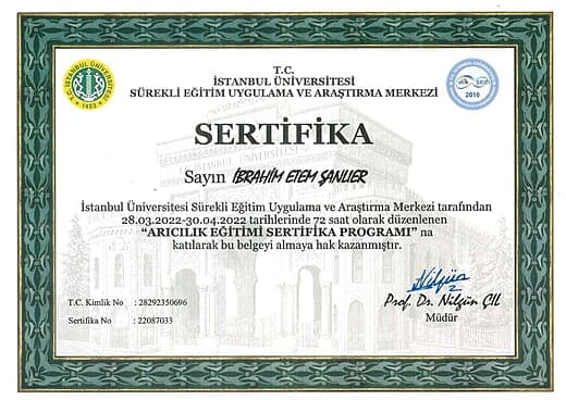 İstanbul Üniversitesi Sertifika