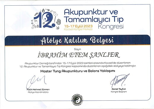 12. Akupunktur ve Tamamlayıcı Tıp Kongresi Atölye Katılım Belgesi