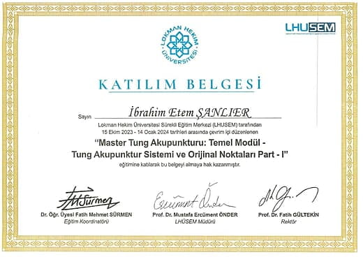 Master Tung Akupunkturu Temel Modülü Tamamlama Sertifikası
