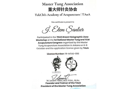 Master Tung Association TekChi's Academy of Acupuncture  TAoA Work Shop Katılım Belgesi