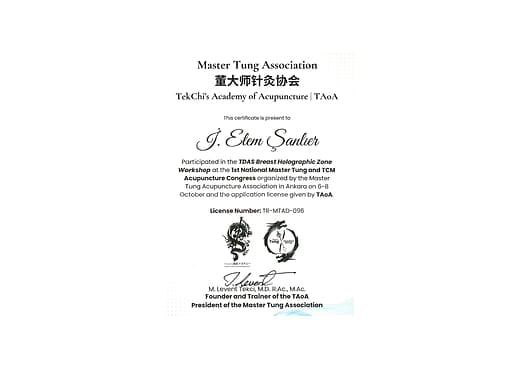Master Tung Association TekChi's Academy of Acupuncture  TAoA Work Shop Katılım Belgesi