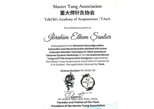 Master Tung Association TekChi's Academy of Acupuncture  TAoA Work Shop Katılım Belgesi