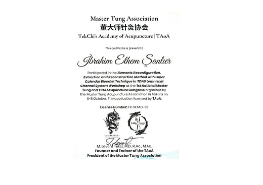 Master Tung Association TekChi's Academy of Acupuncture  TAoA Work Shop Katılım Belgesi