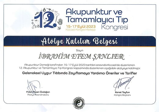 12. Akupunktur ve Tamamlayıcı Tıp Kongresi Atölye Katılım Belgesi