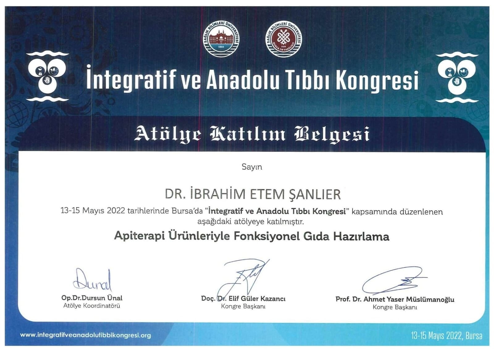 İntegratif ve Anadolu Kongresi