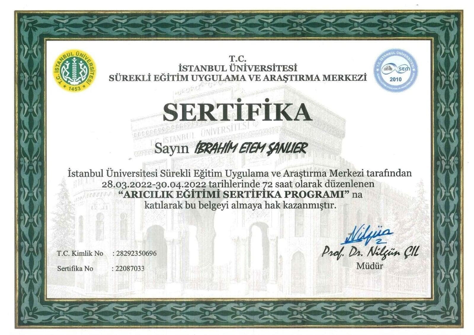 İstanbul Üniversitesi Sertifika