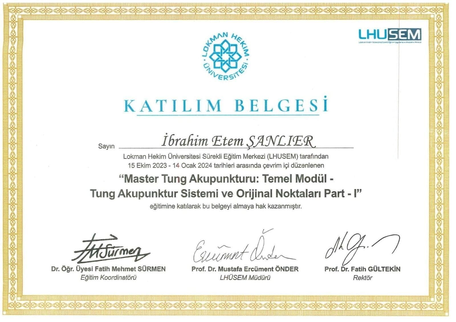 Master Tung Akupunkturu Temel Modülü Tamamlama Sertifikası