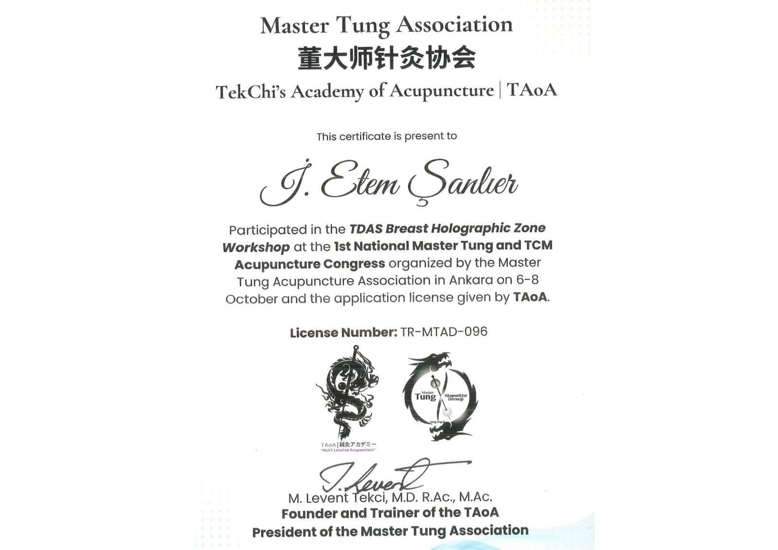 Master Tung Association TekChi's Academy of Acupuncture  TAoA Work Shop Katılım Belgesi