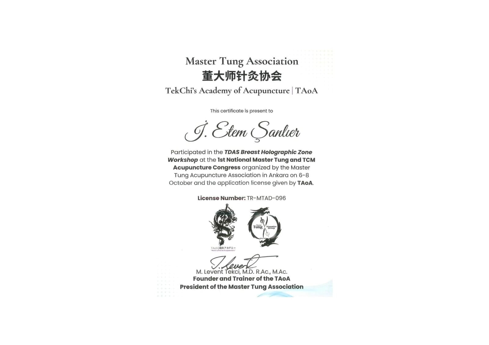 Master Tung Association TekChi's Academy of Acupuncture  TAoA Work Shop Katılım Belgesi