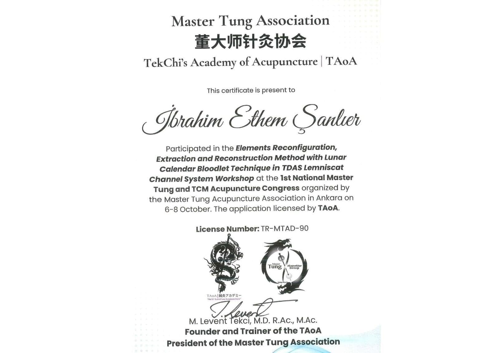 Master Tung Association TekChi's Academy of Acupuncture  TAoA Work Shop Katılım Belgesi
