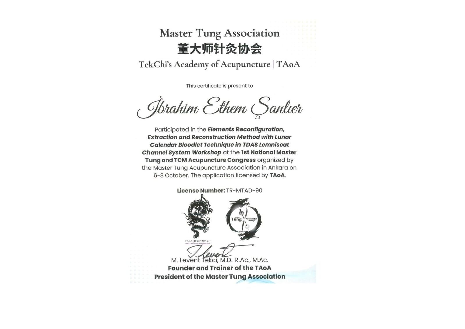 Master Tung Association TekChi's Academy of Acupuncture  TAoA Work Shop Katılım Belgesi